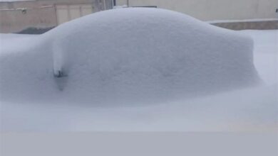 بیست‌و‌پنجمین روز زمستان در ایران/ گزارش برف و کولاک در 13 استان/ در راه ماندگان نجات یافتند