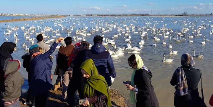 حال مهمانان زمستانی اینجا خوب است