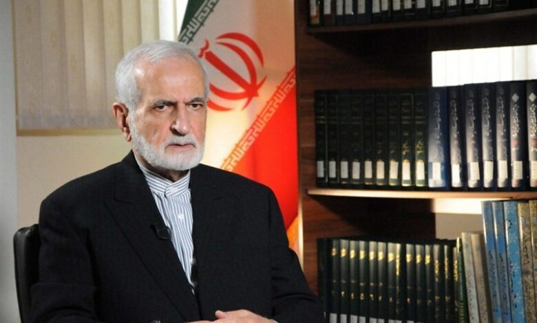 خرازی: وظیفه همه کشورها است که از اقدام مسئولانه آفریقای جنوبی حمایت کنند