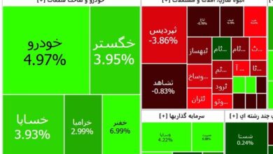 خودرویی‌ها رشد کردند؛ انبوه‌سازان افت