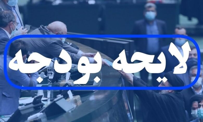 دخل و خرج دولت در سال 1403 مشخص شد