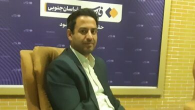 روزنه‌هایی که افق روشن دیار نرگس‌های خراسان‌جنوبی را نوید می‌دهند