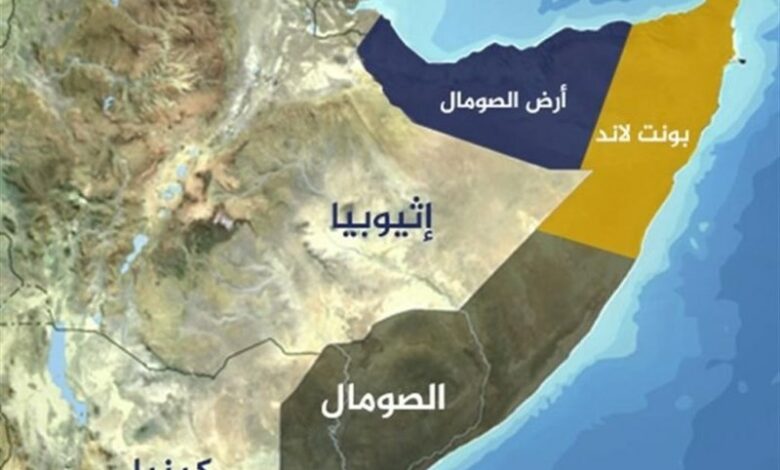 سومالی:حل مشکل دریای سرخ در گرو توقف جنگ غزه است