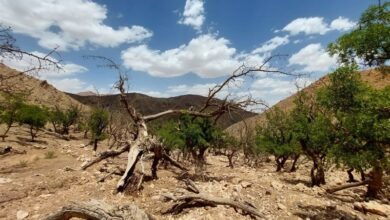 شمال تا جنوب ایران درگیر پیامدهای تغییر اقلیم است