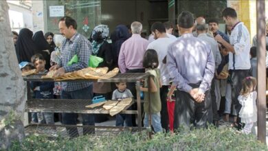 صف یکی و چندتایی نانوایی، گوسفندها بدون نوبت
