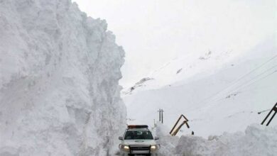 عملیات جستجوی 3 مفقودی در مشگین‌شهر/ امدادرسانی به 716 گرفتار در برف و کولاک