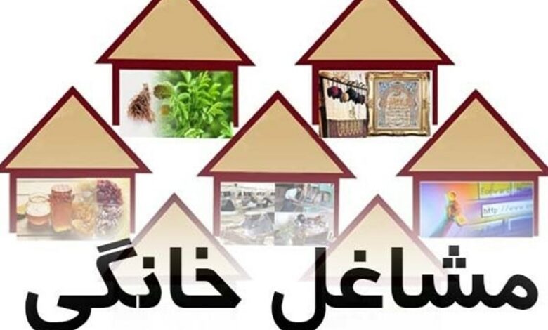 فراهم شدن امکان فروش محصولات مشاغل خانگی سیستان و بلوچستان در شبکه اجتماعی