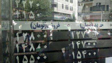 “فنر ارز” کلیدواژه‌ای برای ایجاد التهاب در بازار است/ سودجویی دلالان با نوسان‌گیری از مردم