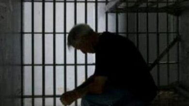 مرخصی 70 مددجو و آزادی 15 زندانی پردیسی در شب ولادت مولای متقیان