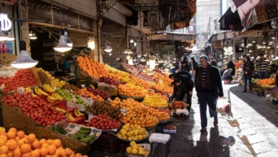 مردم دیگر میوه انبوه نمی‌خرند/ بازار گوجه فرنگی آرام گرفت