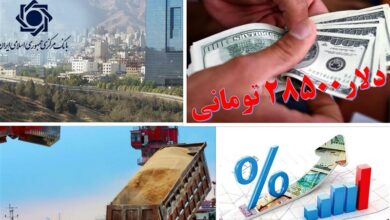 منفعت ۵۰ تا ۹۰ هزار میلیارد تومانی بودجه دولت از نصف شدن ارز ترجیحی در ۱۴۰۳