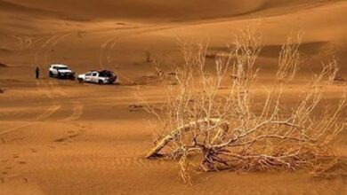 نجات ۳ فرد گم‌شده در کویر استان سمنان