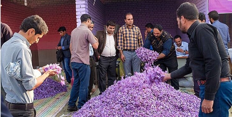 _نیمی_ _از_ _ارزش_ _طلای_ _سرخ_ _در_ _جیب_ _عده_‌_ای_ _خاص_