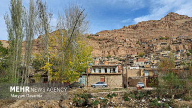 هدفگذاری ایجاد ساختاری برای تولی‌گری توسعه روستایی