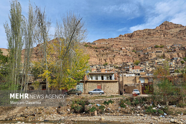 هدفگذاری ایجاد ساختاری برای تولی‌گری توسعه روستایی