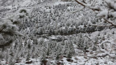 هواشناسی ایران ۱۴۰۲/۱۱/۰۶؛ بارش برف و باران در ۸ استان