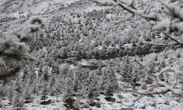 هواشناسی ایران ۱۴۰۲/۱۱/۰۶؛ بارش برف و باران در ۸ استان