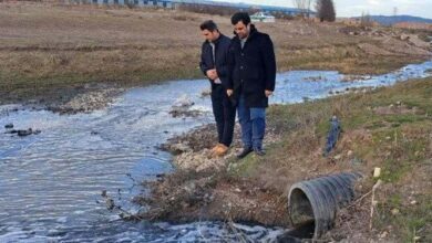 ورود دادستان نمین به ماجرای آلودگی رودخانه قره‌سو