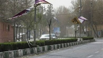 وزش شدید باد همدان را در بر گرفت