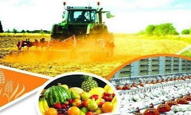 پرداخت 74 میلیارد تسهیلات مشاغل خانگی در حوزه کشاورزی سیستان و بلوچستان