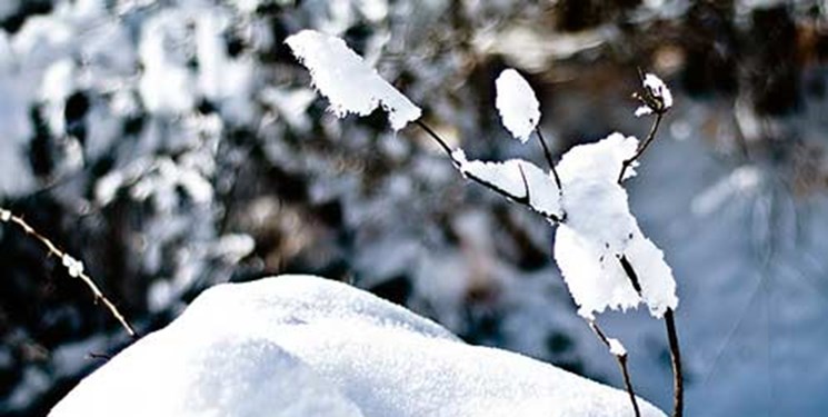 پیش‌بینی بارش برف در غرب و تندبادهای شدید در شرق کردستان