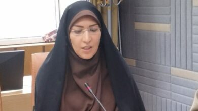 کنگره بانوان تاثیرگذار به دنبال تصویر روشنی از الگوی سوم زن است