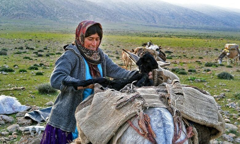 بهره‌مندی 9 هزار و553 زن سرپرست خانوار در خراسان رضوی از بیمه اجتماعی