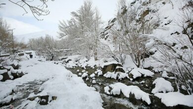 تداوم بارندگی در استان سمنان؛ احتمال کولاک برف برای ارتفاعات و نقاط سردسیر