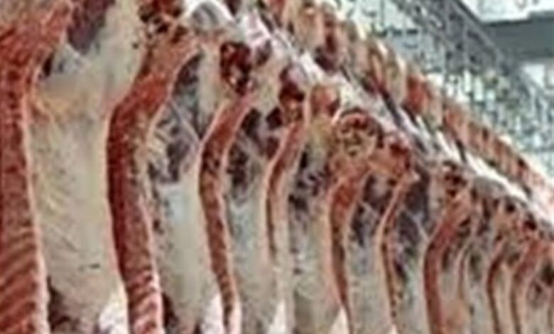 تولید سالانه 20 هزار تن گوشت توسط دامداران ورامینی