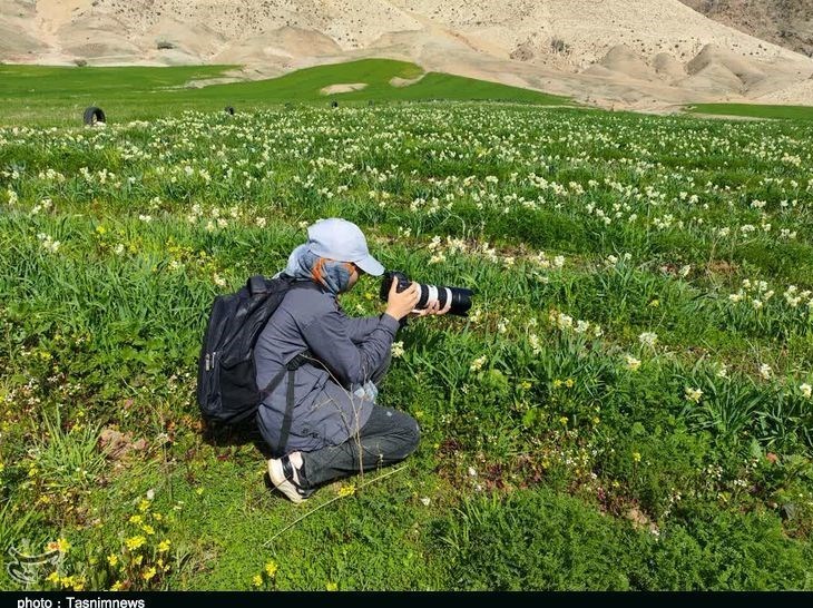 پلدختر , استان لرستان , کشاورزی , 