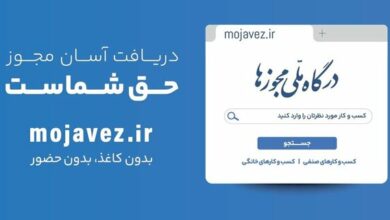 خواربارفروشان، مشاوران املاک و آرایشگران در صدر دارندگان شناسه یکتا