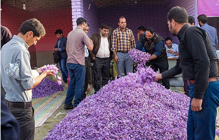 شمش طلا نگین طلای سرخ را از دست قاچاقیان می‌رباید