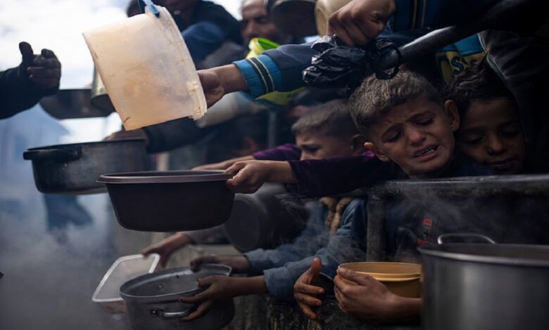 عفو بین‌الملل: اسرائیل باید به اشغال فلسطین پایان دهد