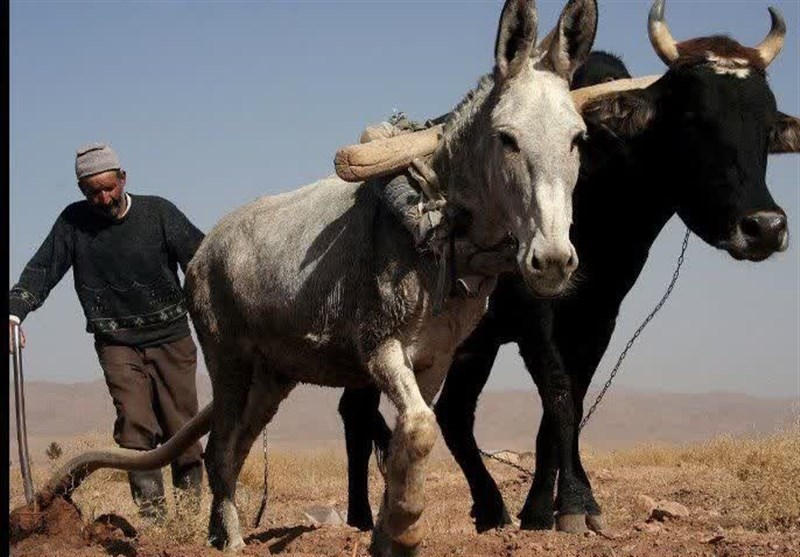 عکاسان پاتوق عکس حوزه هنری خراسان رضوی در لهستان درخشیدند