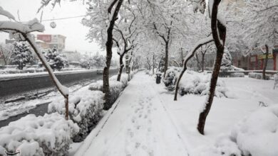 کاهش 20 درجه‌ای دمای هوا در گلستان؛ برف و سرما در راه است