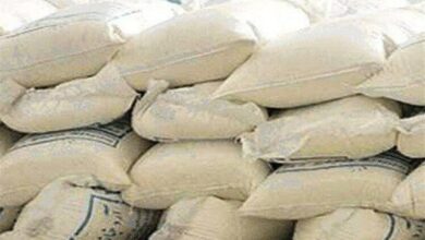 _کشف_ _30_ _تن_ _آرد_ _قاچاق_ _در_ _دیواندره_