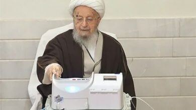 آیت‌الله مکارم شیرازی: حل مشکلات از طریق حضور پای صندوق‌های رأی محقق می‌شود