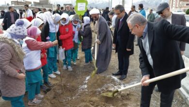 آیین درختکاری در شهرستان بیرجند برگزار شد + تصویر