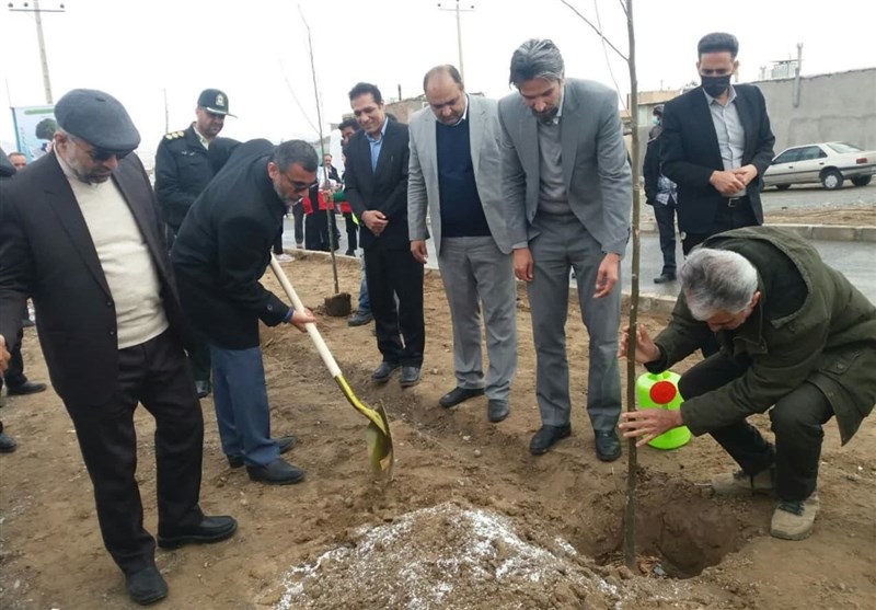 آیین درختکاری در شهرستان بیرجند برگزار شد + تصویر