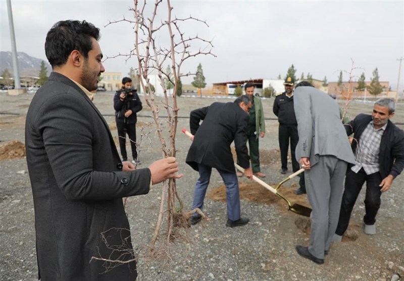 آیین درختکاری در شهرستان بیرجند برگزار شد + تصویر