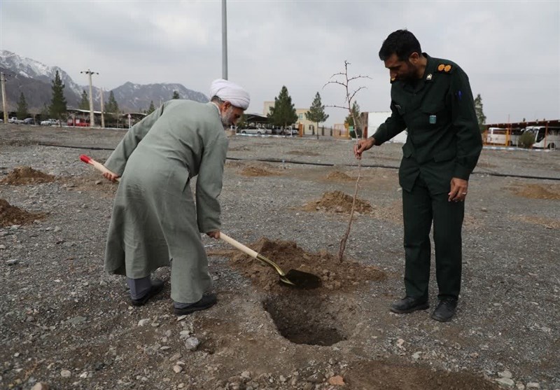 آیین درختکاری در شهرستان بیرجند برگزار شد + تصویر