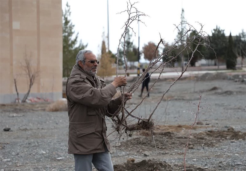 آیین درختکاری در شهرستان بیرجند برگزار شد + تصویر