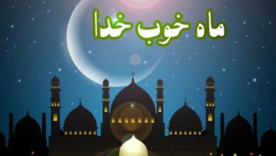 برپایی برنامه‌های رمضان در کیش با رویکرد فرهنگی و گردشگری