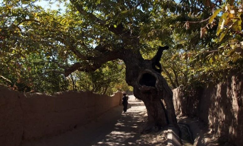 به روستای کوهستانی و افسونگر بِزد تربت جام خوش آمدید