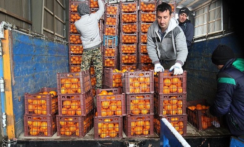 توزیع 530 تن سیب و پرتقال شب عید در چهارمحال و بختیاری
