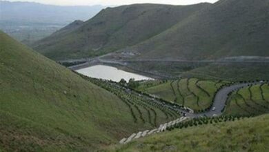 جنگل‌کاری در منطقه گردشگری گاوازنگ زنجان آغاز شد