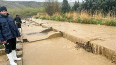 خسارت 700 میلیاردی سیلاب به بخش کشاورزی سیستان و بلوچستان