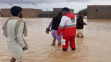 خسارت سنگین بخش کشاورزی در ۱۰ شهرستان استان سیستان و بلوچستان