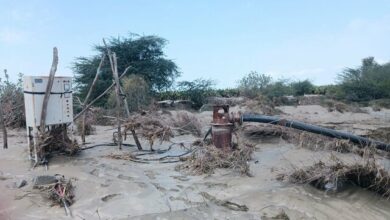 دستور فرمانده کل ارتش برای کمک‌رسانی به سیل زدگان سیستان‌وبلوچستان