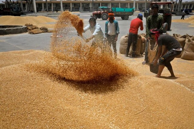 دومینوی کاهش شاخص قیمت جهانی مواد غذایی